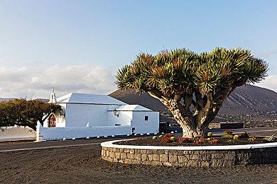 分析师预测：《GTA6》发售时销量将超过2500万