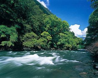 PS+欧美服八月会免游戏公布 《PVZ：和睦小镇保卫战》、《猎人竞技场：传奇》等