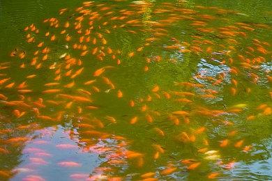 《街头霸王6》“卢克”角色介绍视频